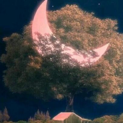 月牙儿🌙