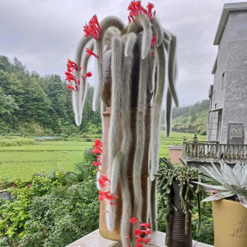 舍得🌷🐍