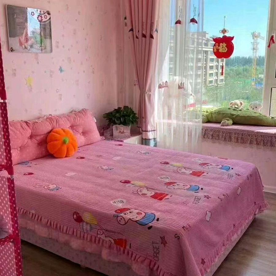 夏天的玫瑰。花园