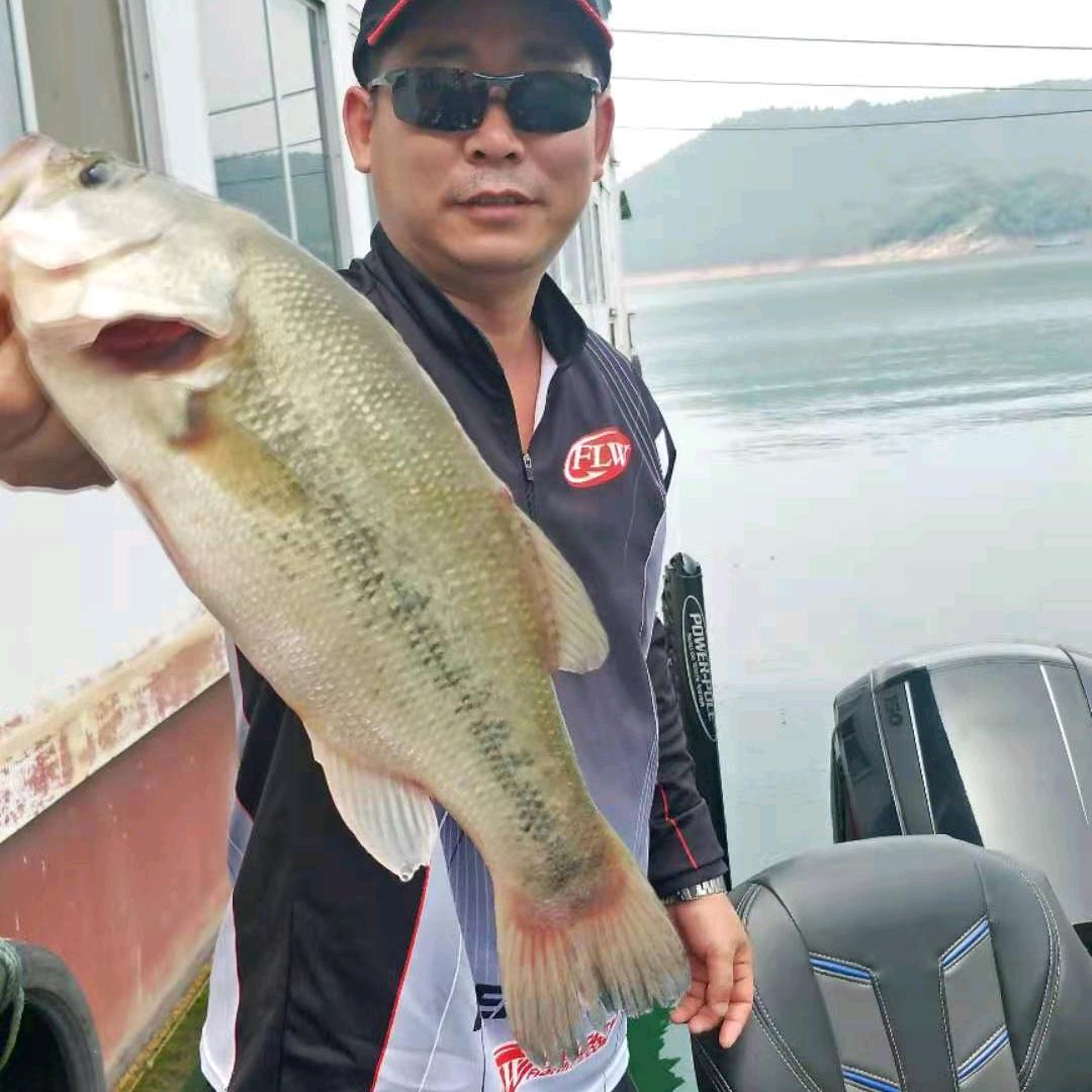 南阳市名流江湖钓具( 早8点50直播
