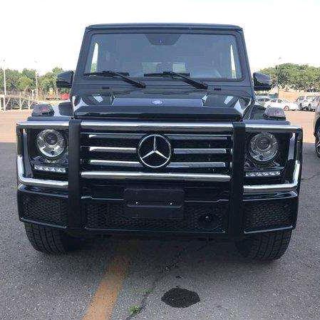 日照锦润樱花合作社/1709600399