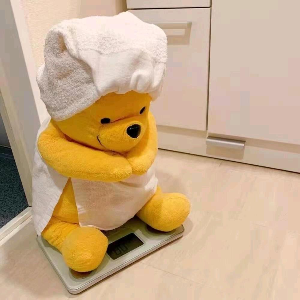 毛毛虫