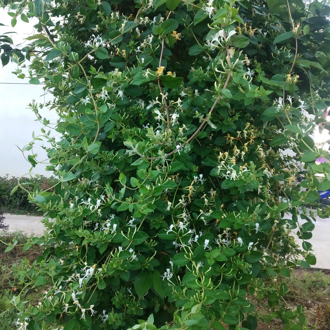 顺其自然。