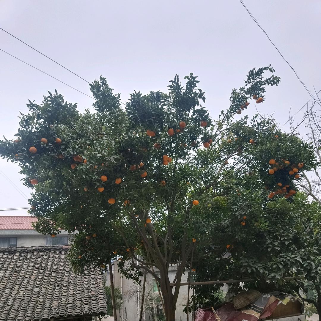 缘份天空