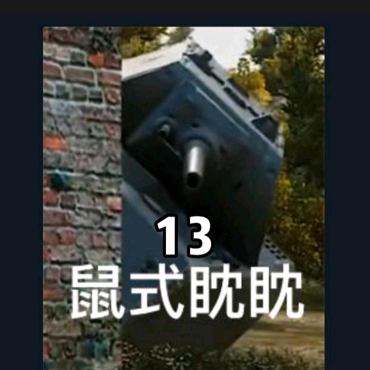 SG重装13