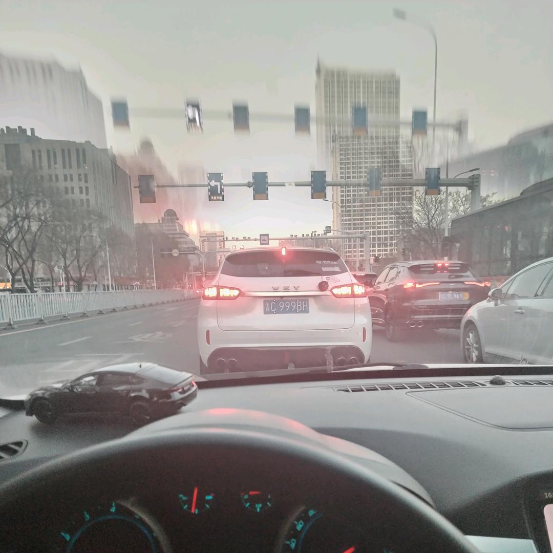 胶东鹏鹏