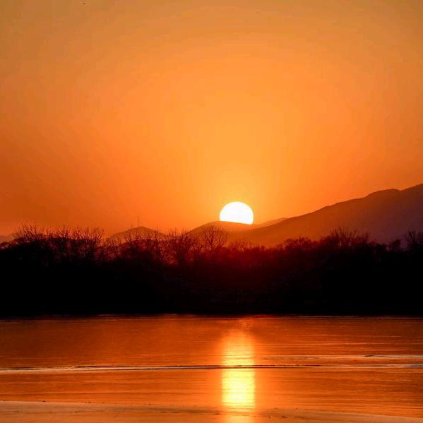 黎奶奶的夕阳红