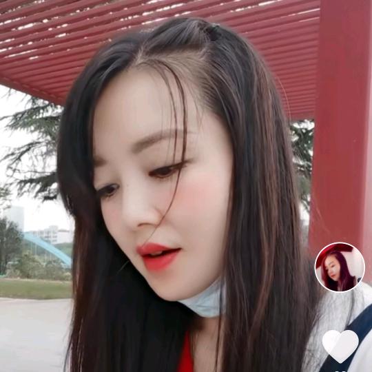小喜鹊乖乖