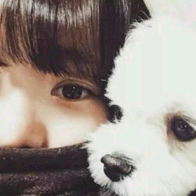 吖๑•́₃ •̀๑头