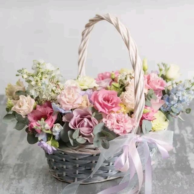 🌷晓~🌷