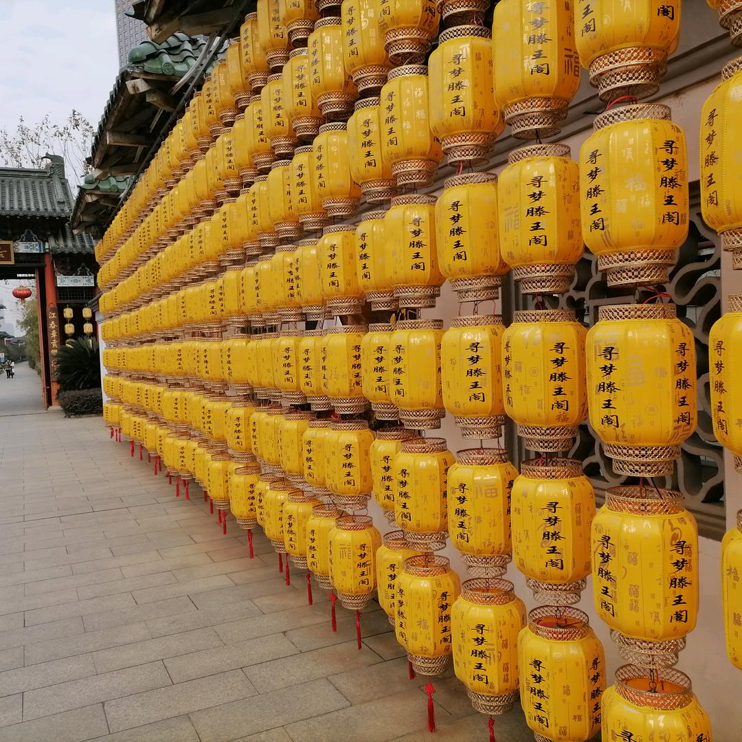 随风飘而安