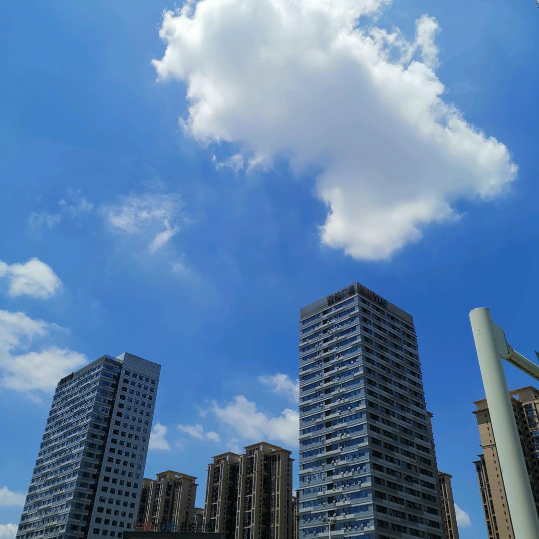 我就是我