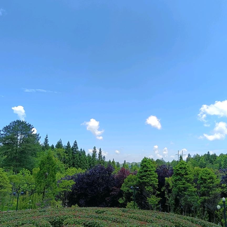 赵～我说的做～