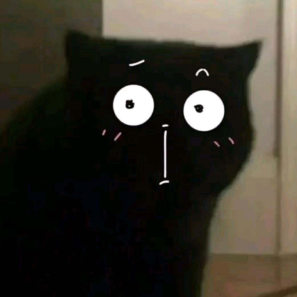 闲鱼无事生非😺