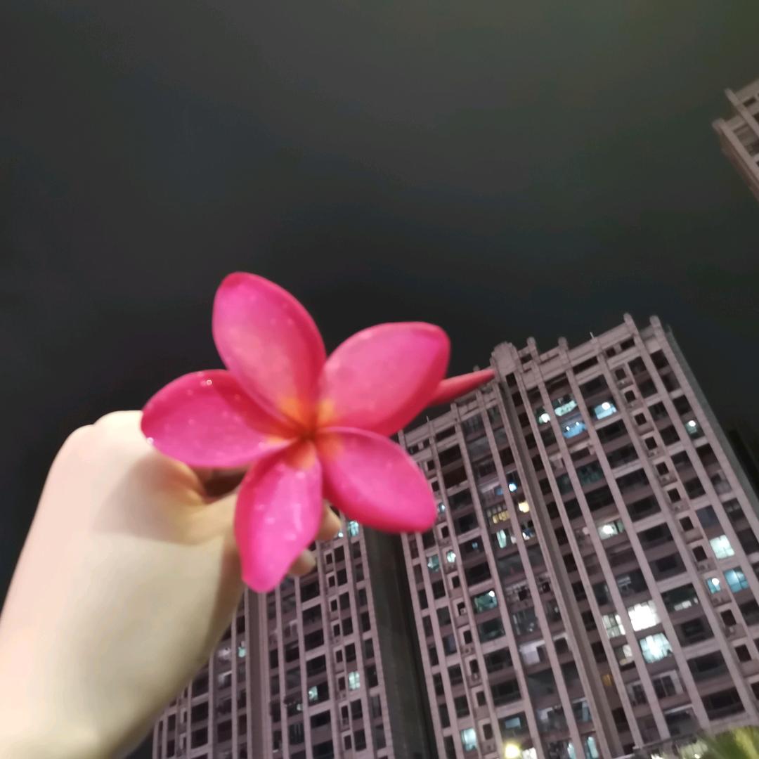 星月~