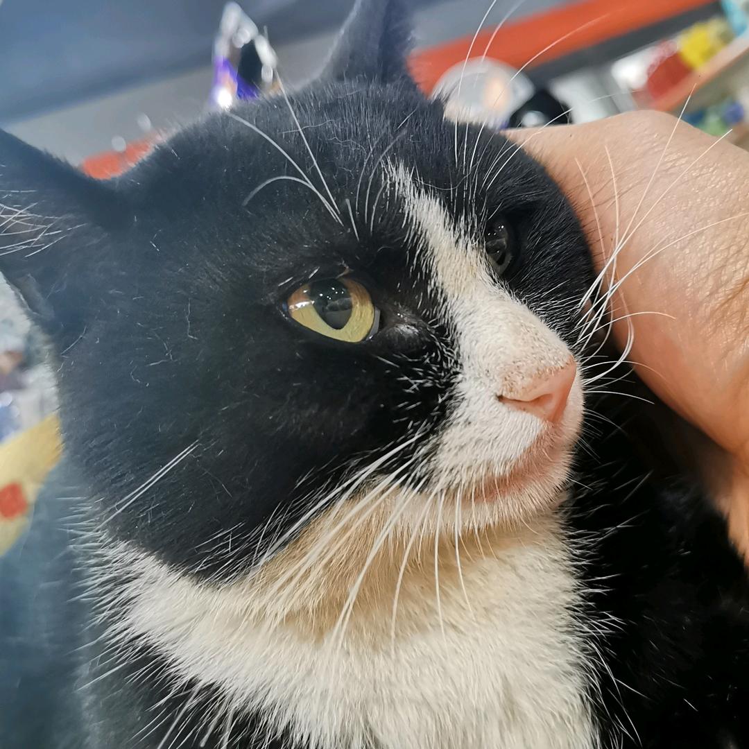 A肖先生-诚信赢天下