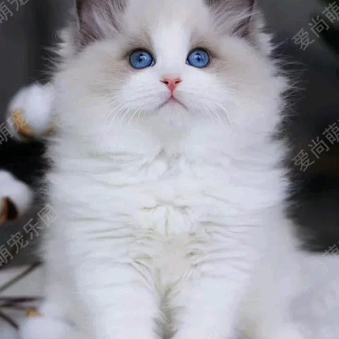 ♥🌈日☀️月⭐️星辰