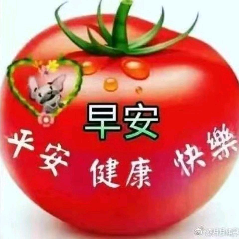 萌界大人物