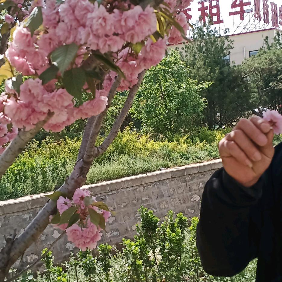 无聊爱唱歌的老李