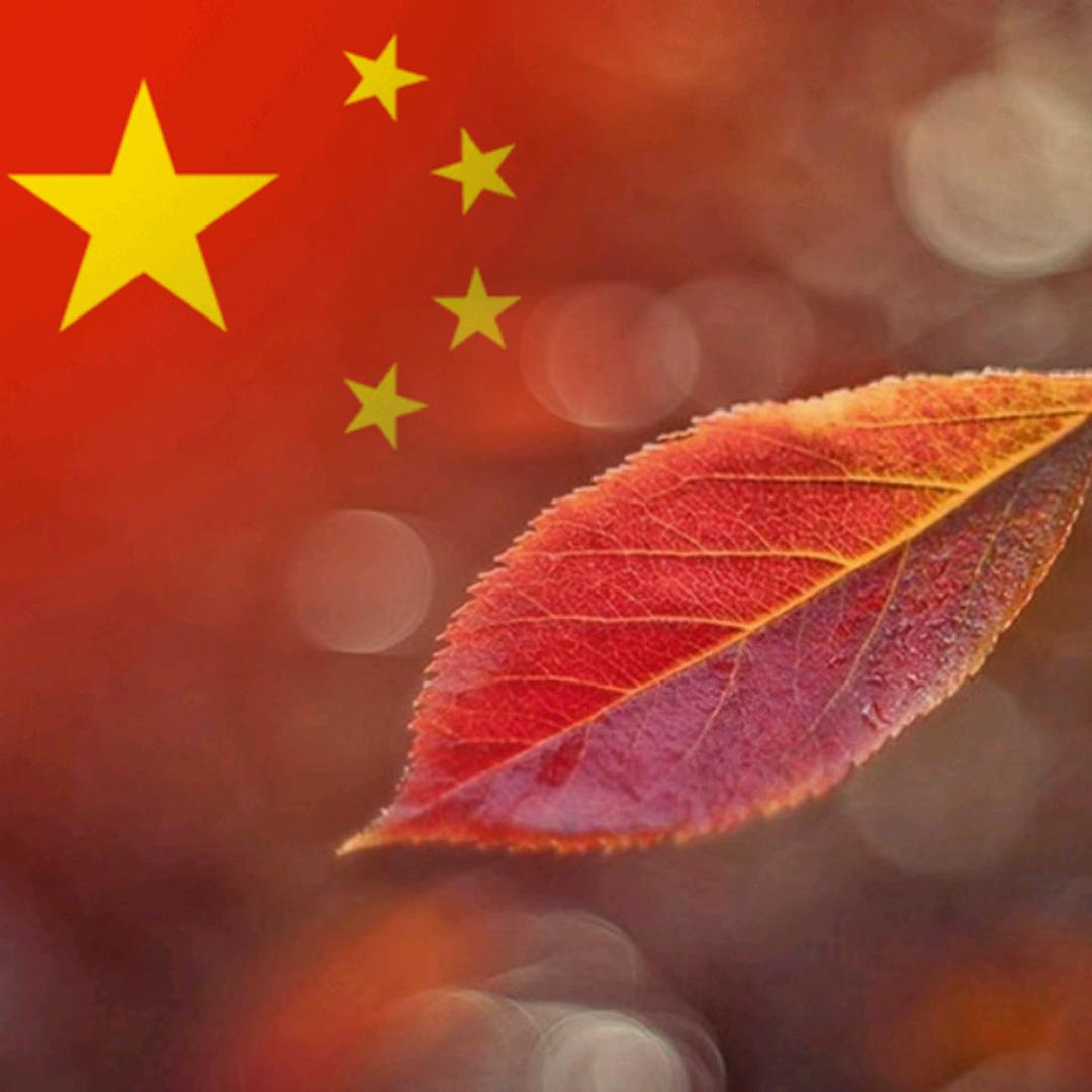耿继学