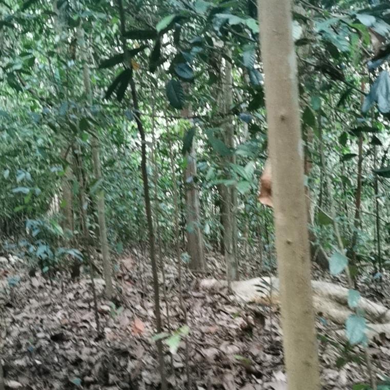 我的世界