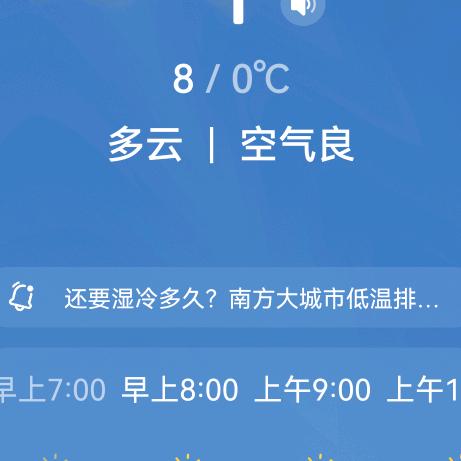 张大姐