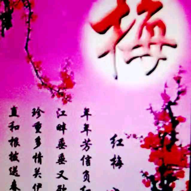 雨后彩虹Li