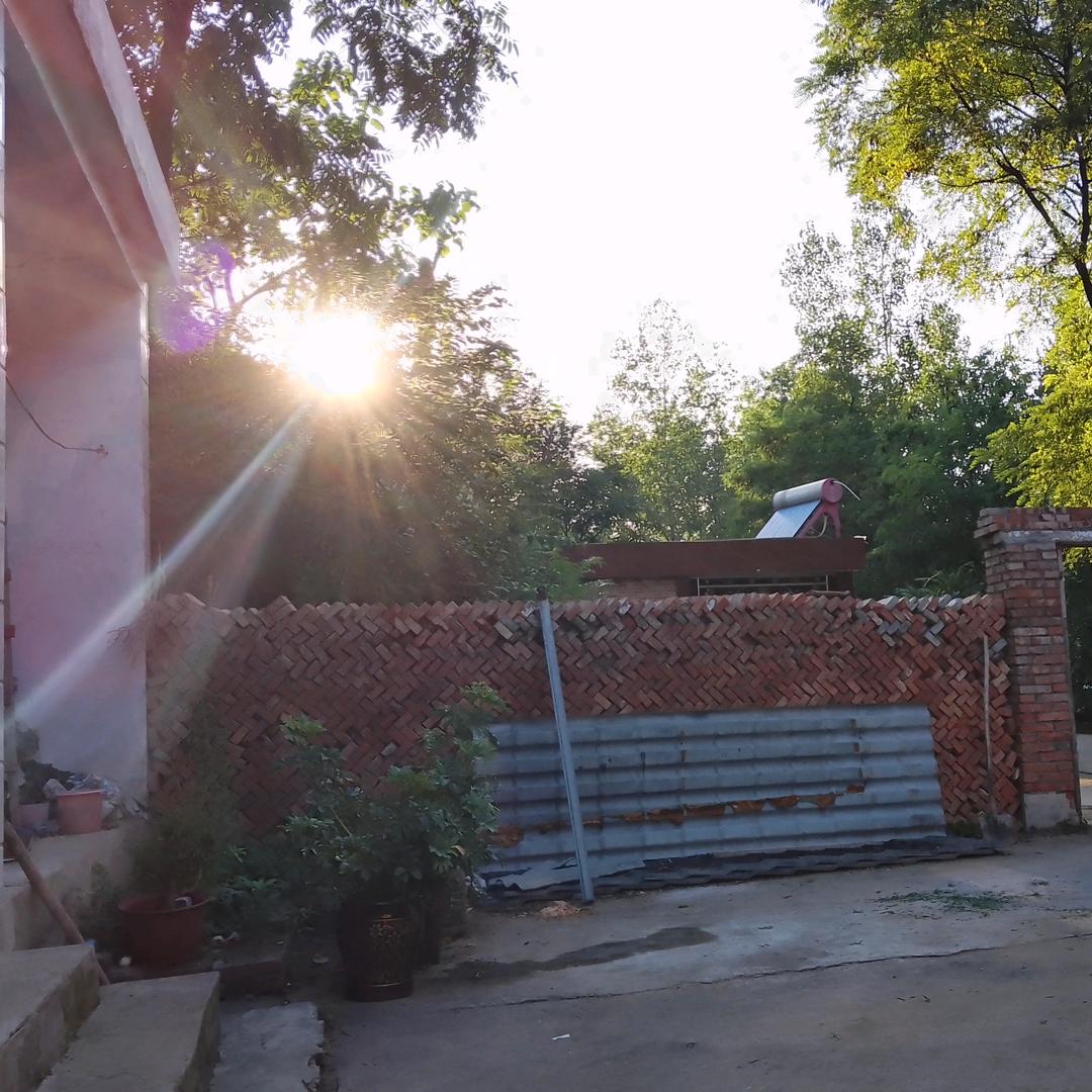 ✔