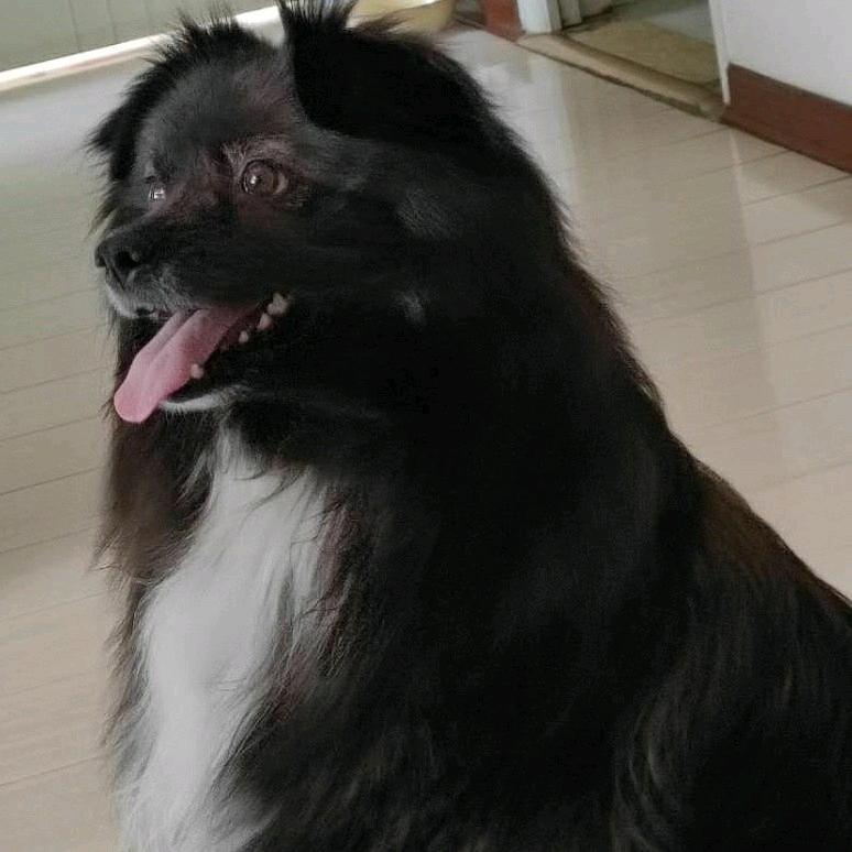 风雨中漫步的蜗牛