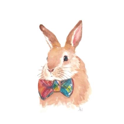 兔兔益智动画🐰