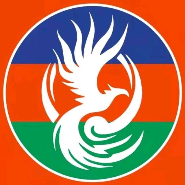 魅力白凤