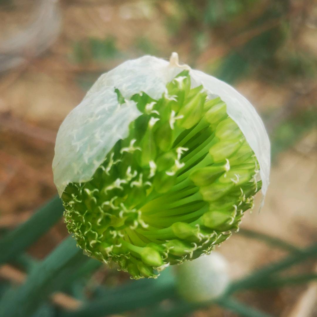 惜缘（拒绝连赞）🙏🙏