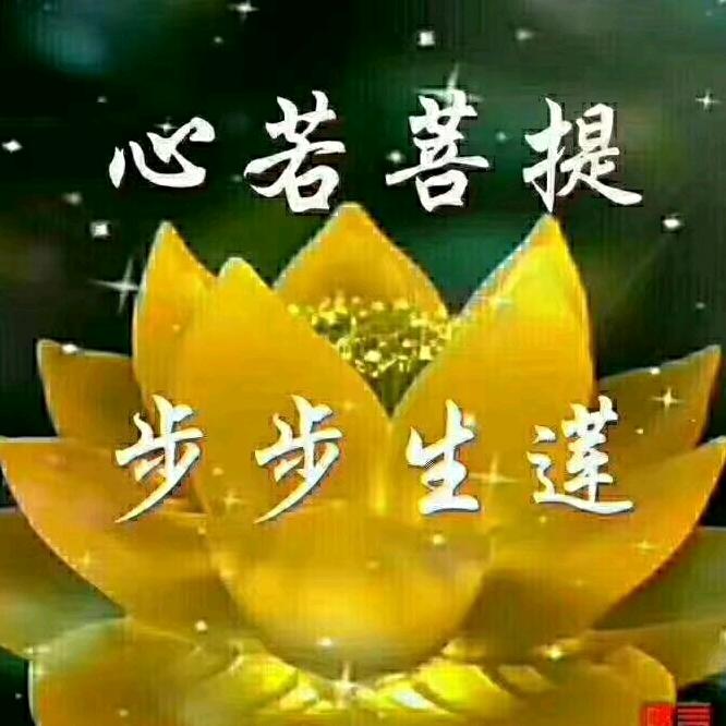 漫步风雨中