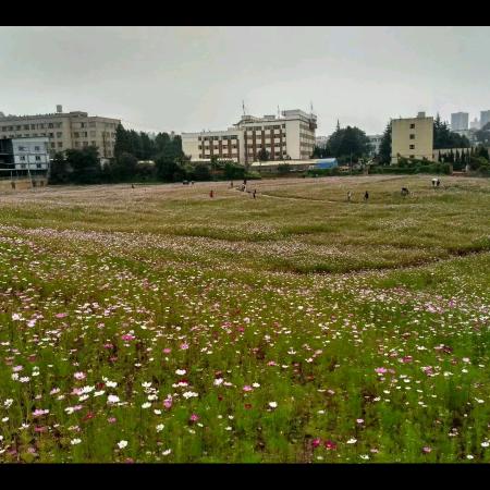 山水无悔