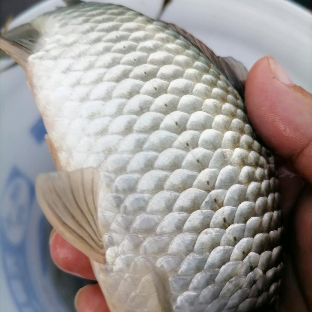 @天天快乐的一家。