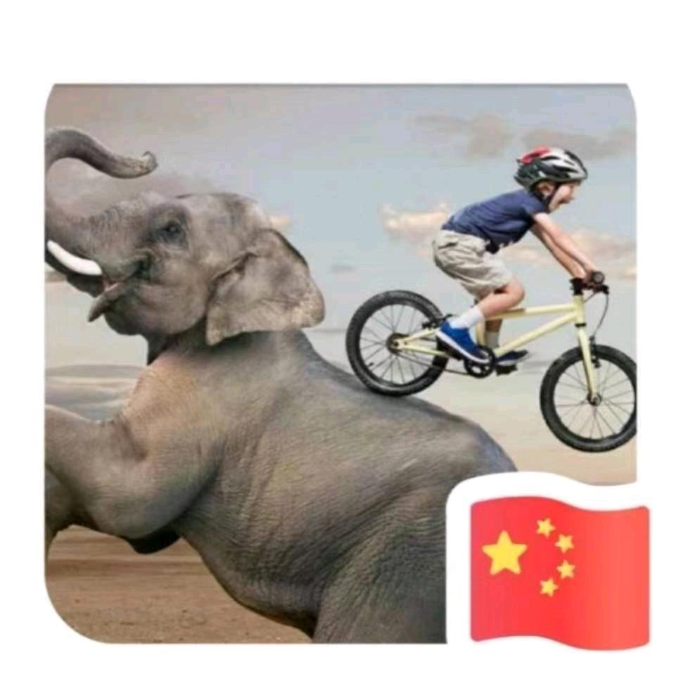 不再-犹豫