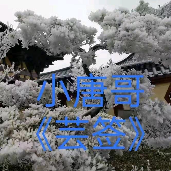 ℋᵅᵖᵖᵞ♡ᵕ̈小唐