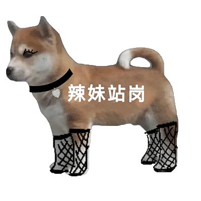 吃两个大飞踢
