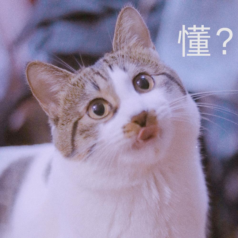古蓝飞雪
