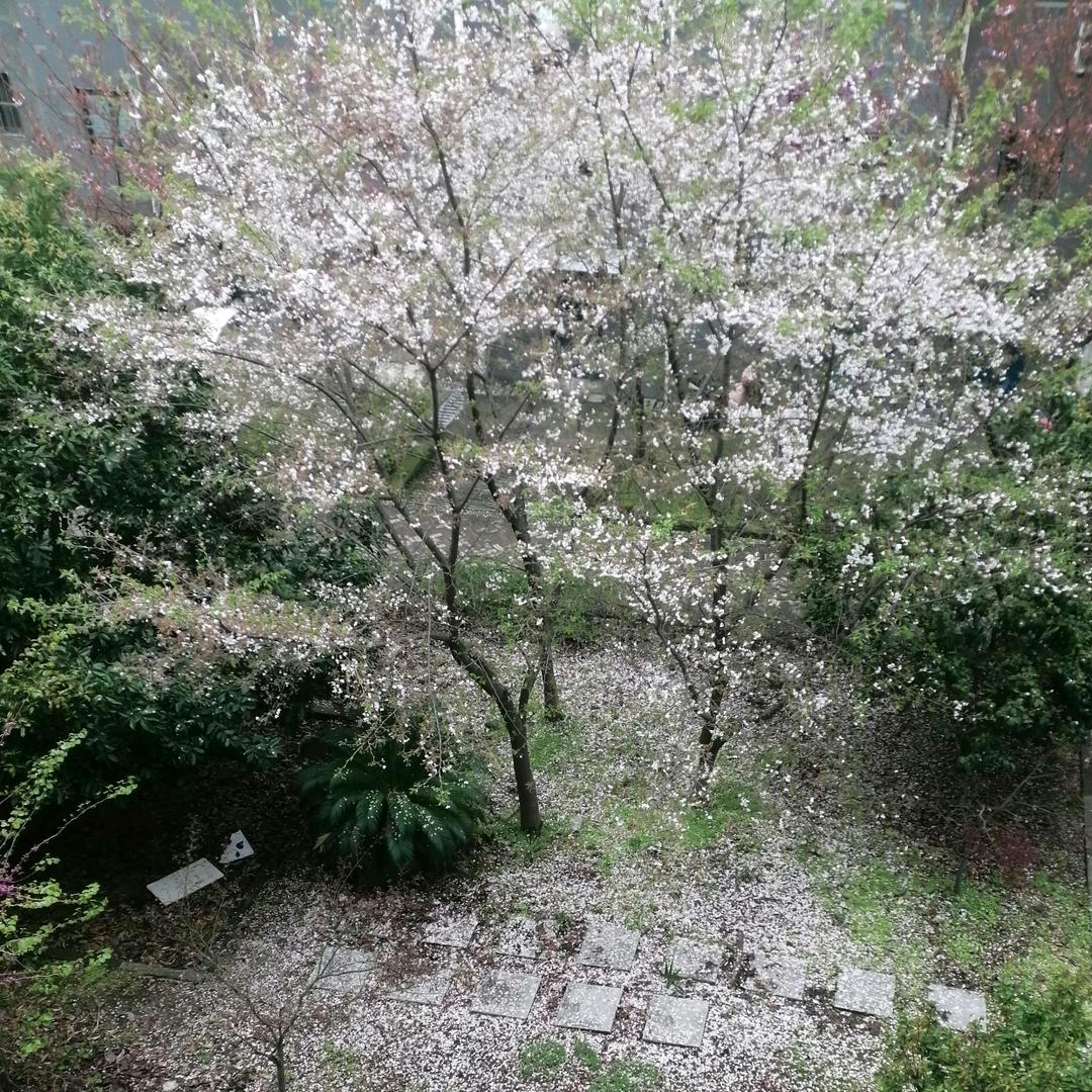 改变自己