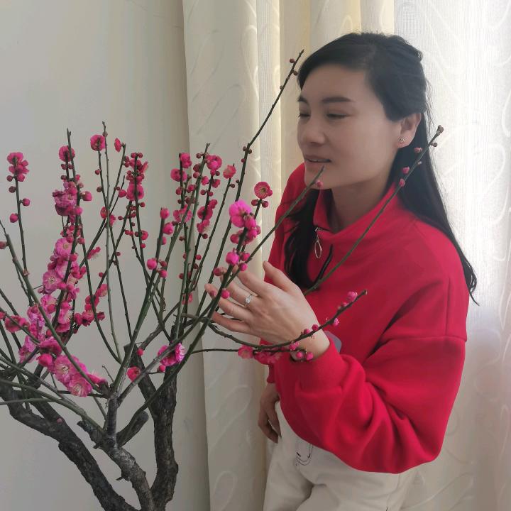 风雨彩虹  茶语轩