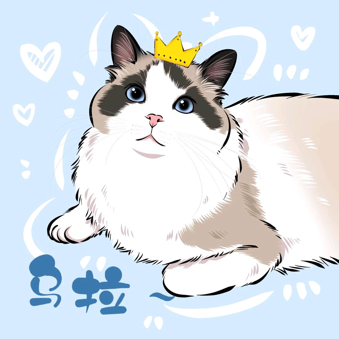 ✨ 豪♥豪 ✨🐱乌拉