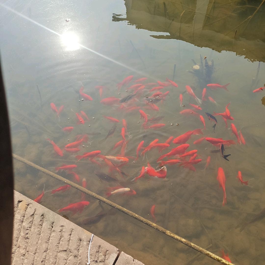 江西土特产小梁