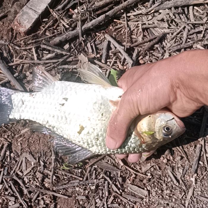 ღ᭄💞犟꧔ꦿ᭄ 總ღ᭄ 💕