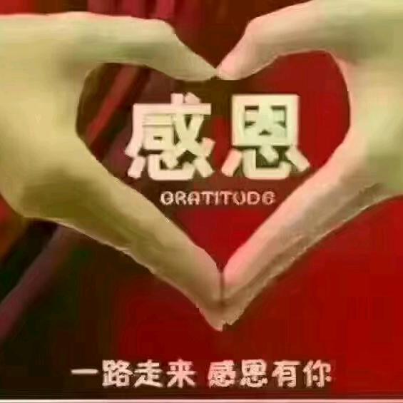 ★猪里🈶晴天★