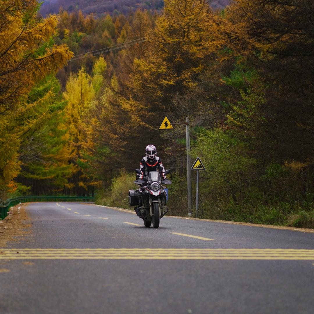  Queen 女王