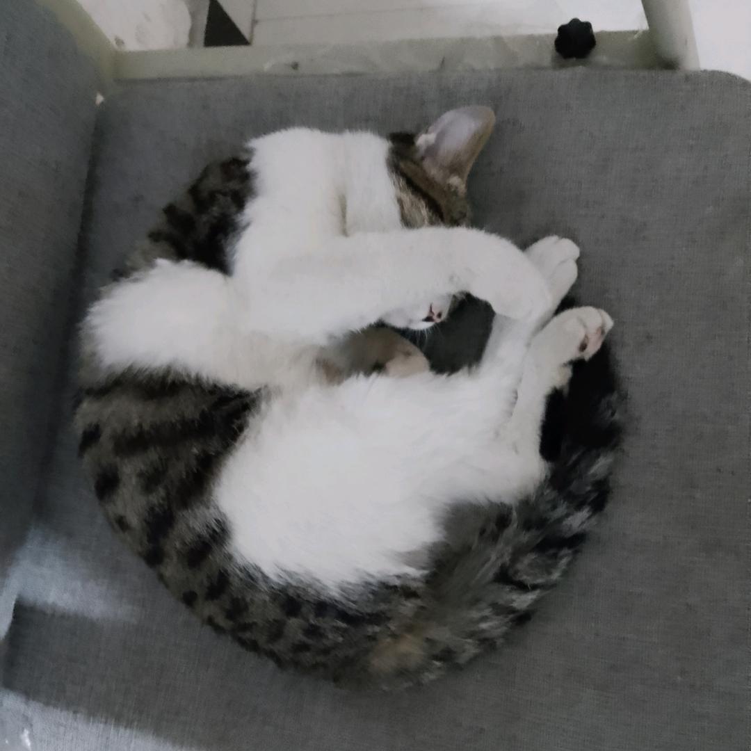 顺风顺水顺心意头像