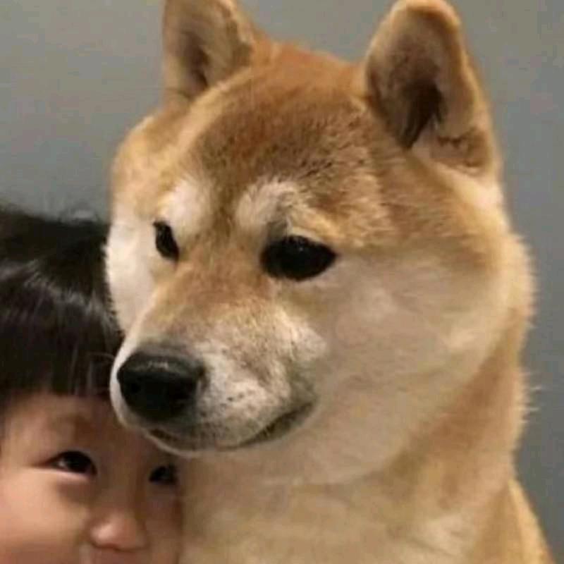 华🌸头像