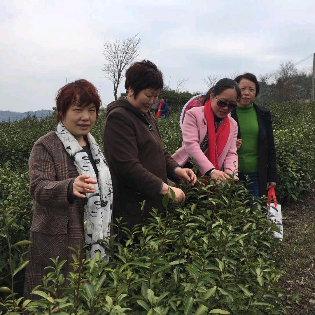 吴奶奶