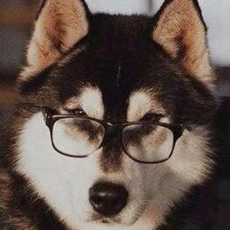 Dota小老虎